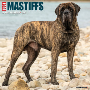 2025 Mastiffs Calendar