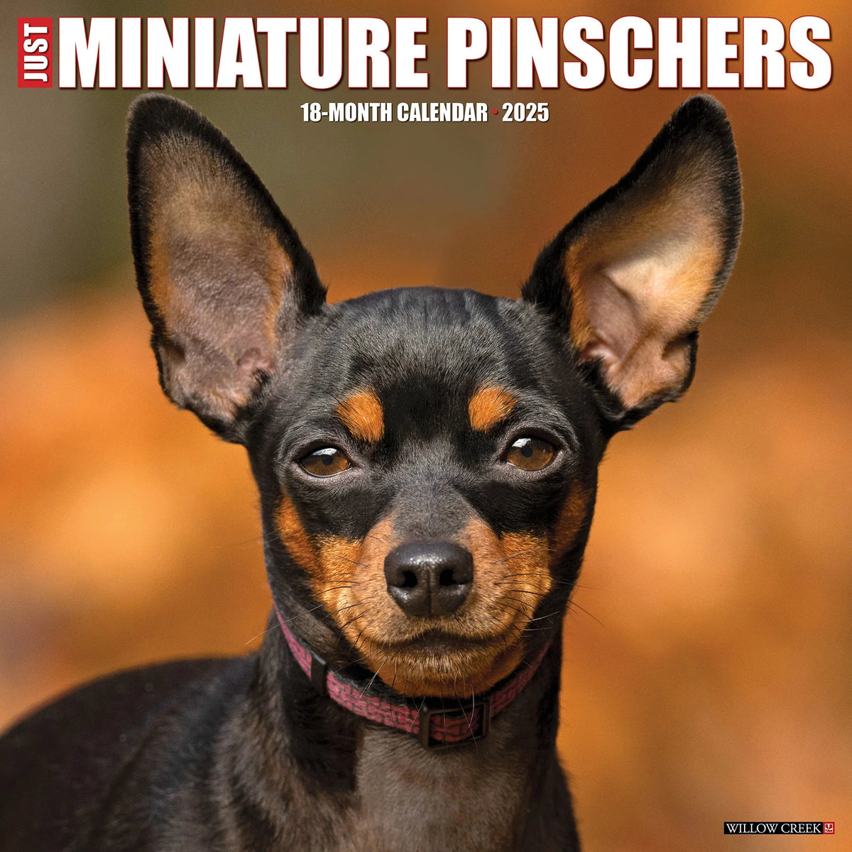 2025 Miniature Pinschers Calendar