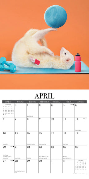 2025 Modern Ferret Calendar