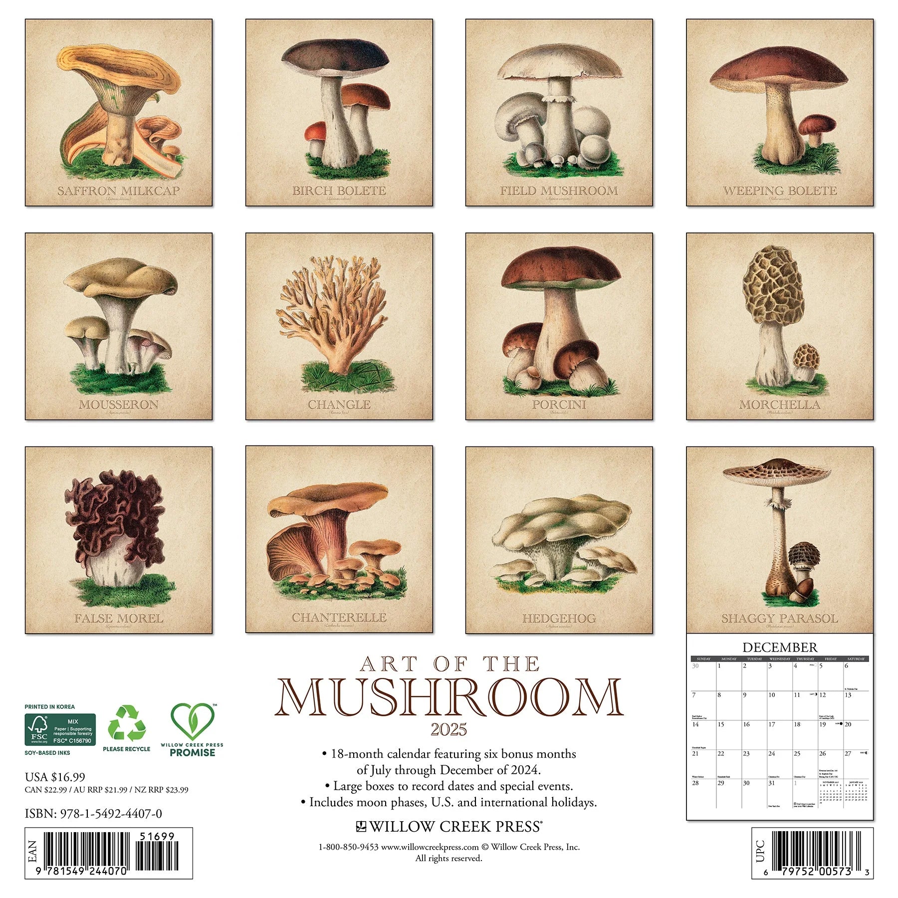 2025 Art Of The Mushroom Calendar