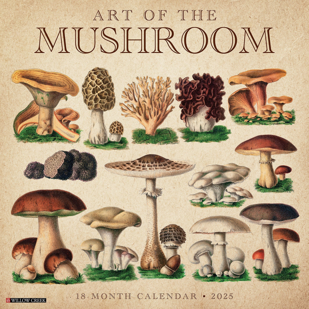 2025 Art Of The Mushroom Calendar