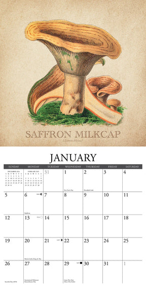 2025 Art Of The Mushroom Calendar