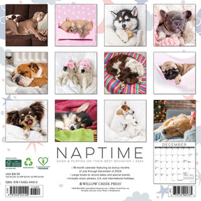 2025 Naptime: Dogs & Puppies On Their Best Behavior Calendar