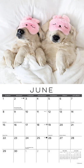 2025 Naptime: Dogs & Puppies On Their Best Behavior Calendar