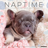 2025 Naptime: Dogs & Puppies On Their Best Behavior Calendar