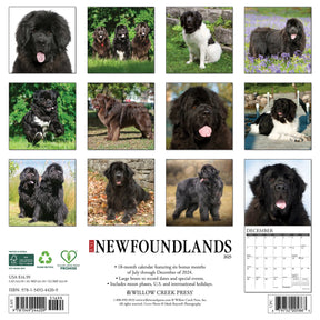 2025 Newfoundlands Calendar