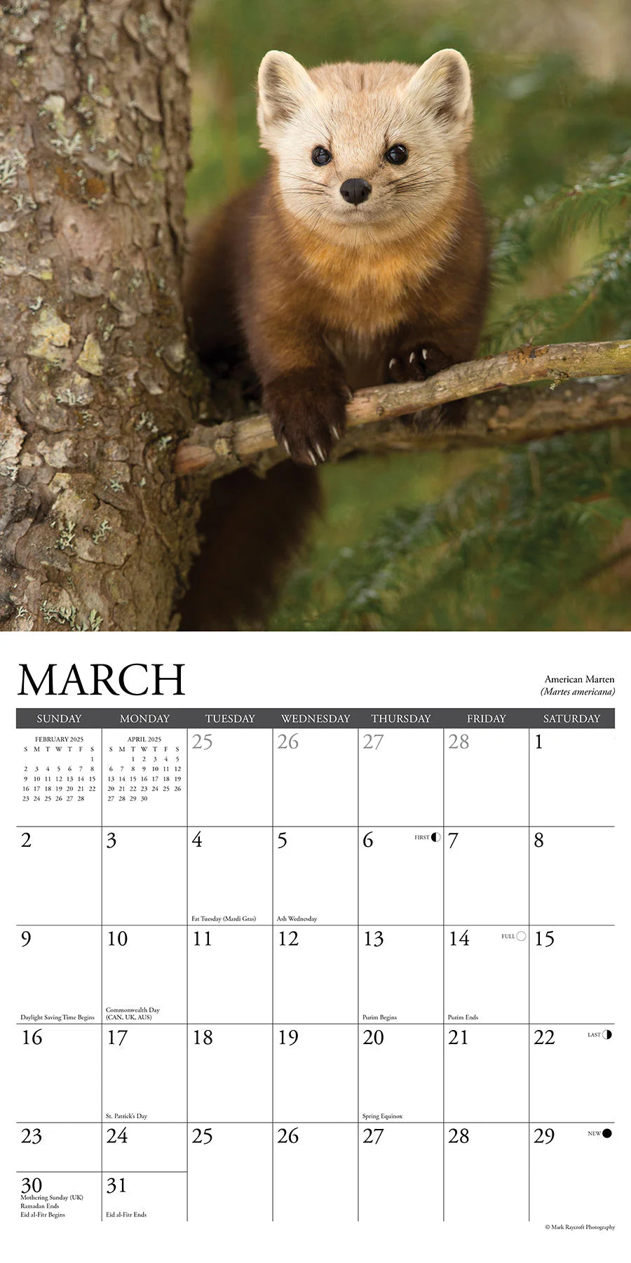 2025 Northwoods Wildlife Calendar