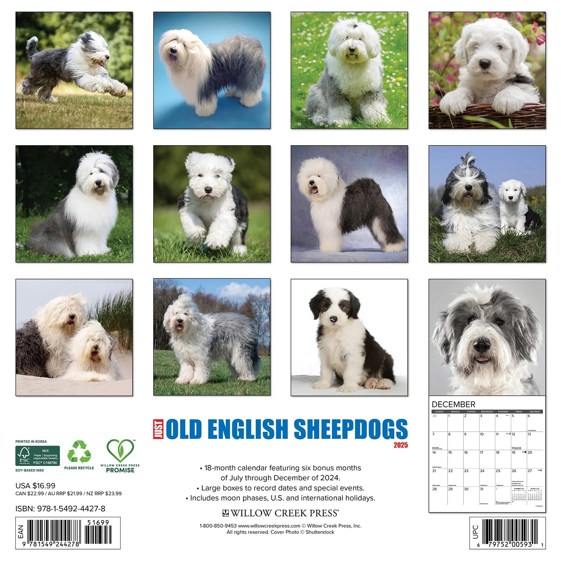 2025 Old English Sheepdogs Calendar