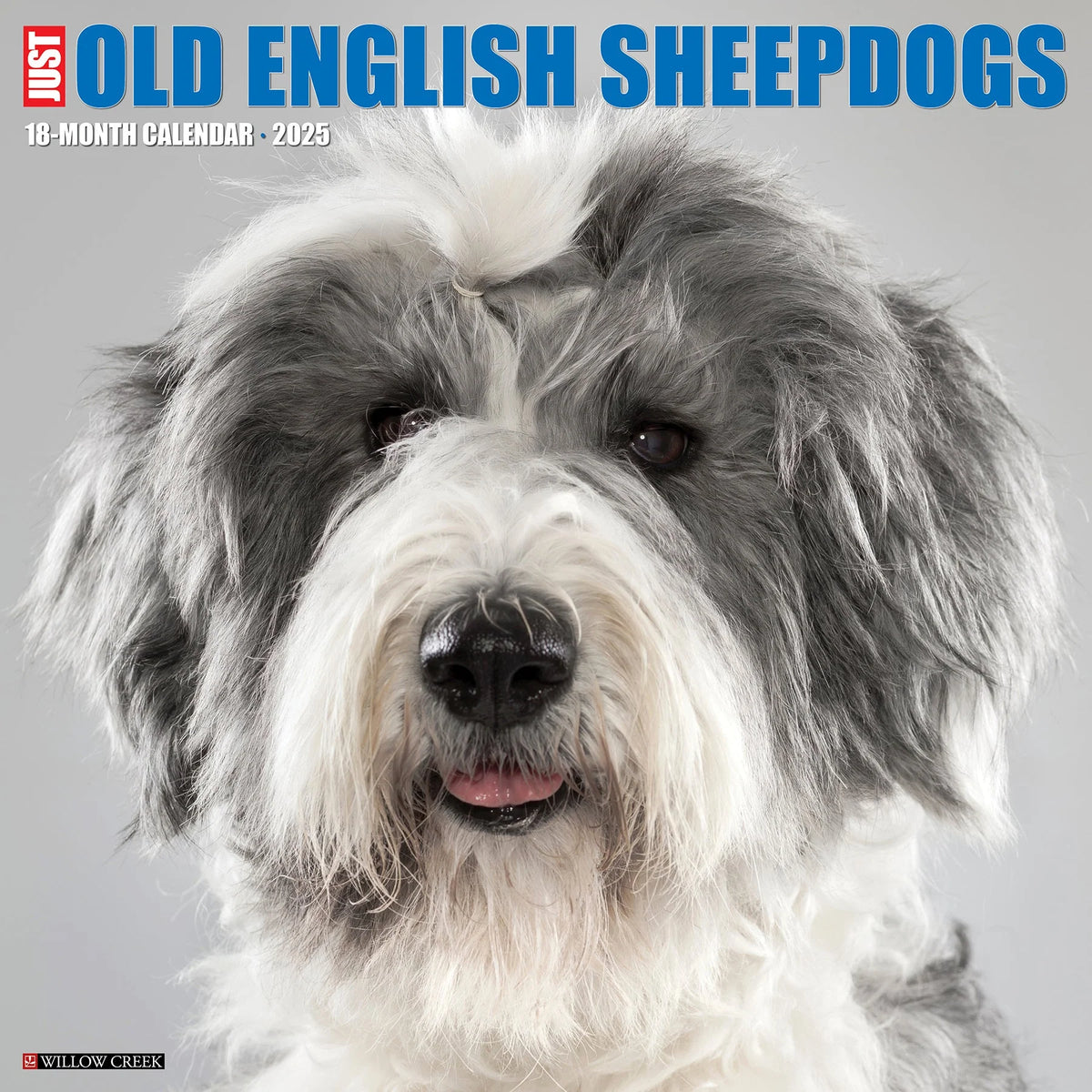 2025 Old English Sheepdogs Calendar