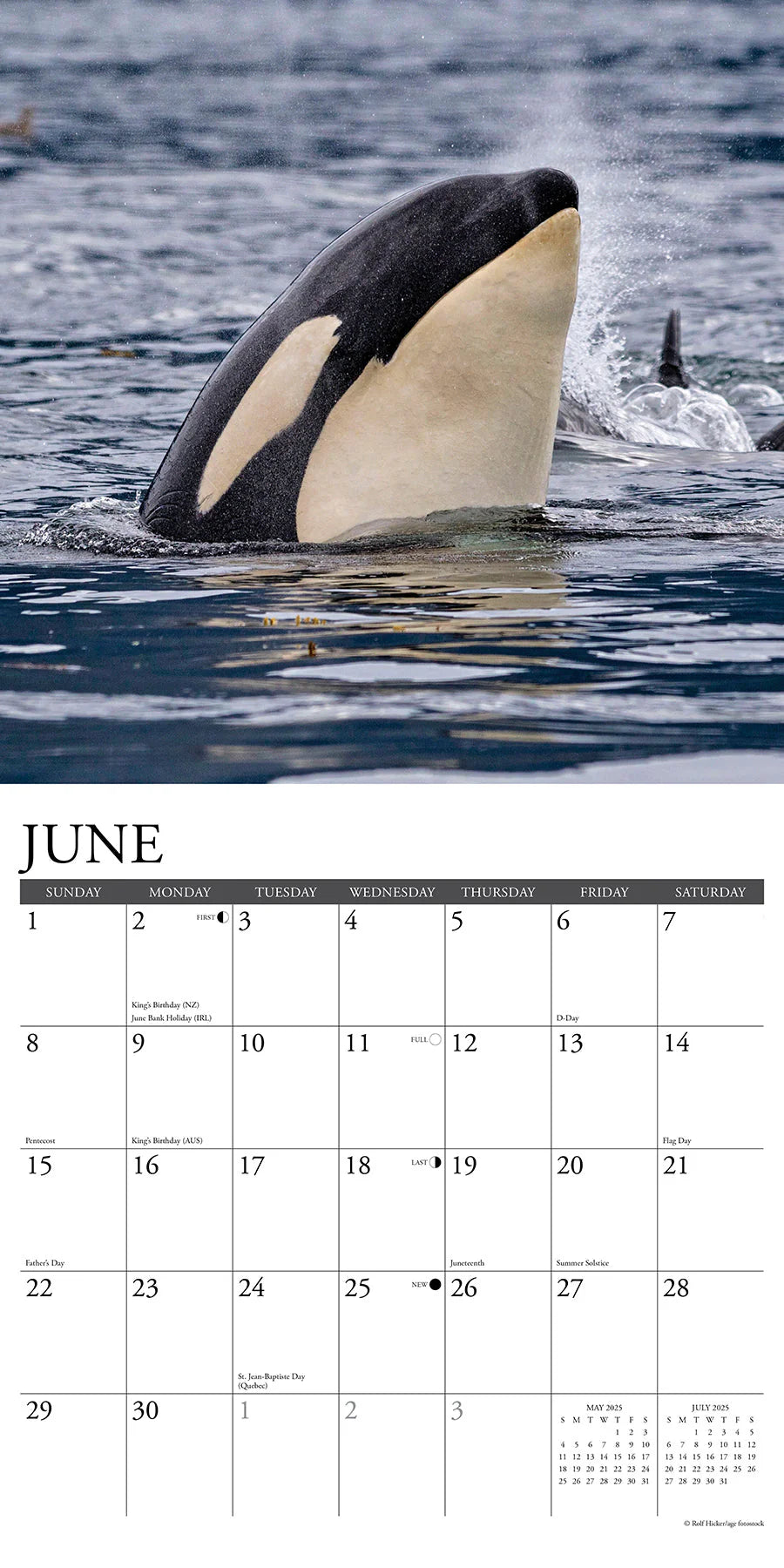 2025 Journey With The Orca Calendar