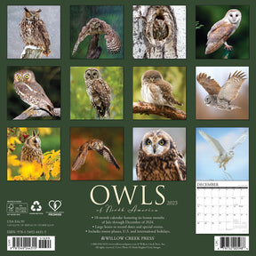 2025 Owls Calendar