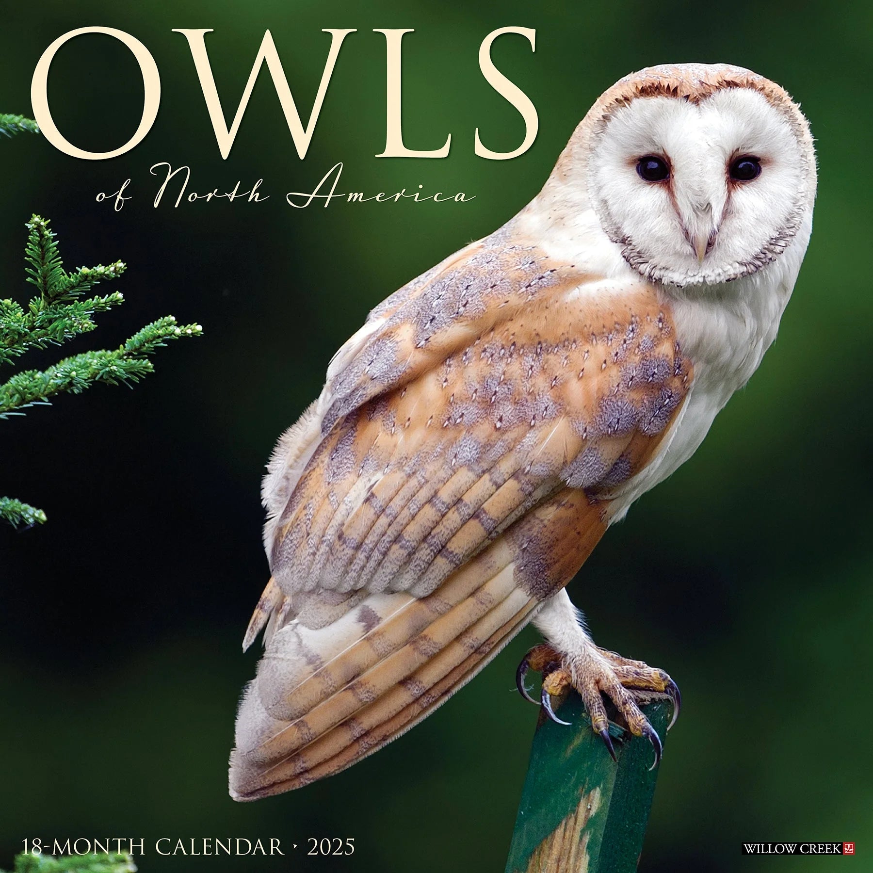 2025 Owls Calendar