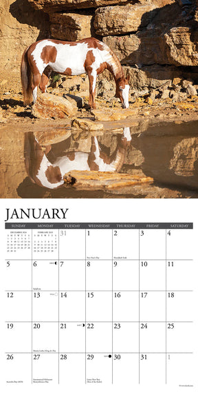 2025 Paint Horses Calendar