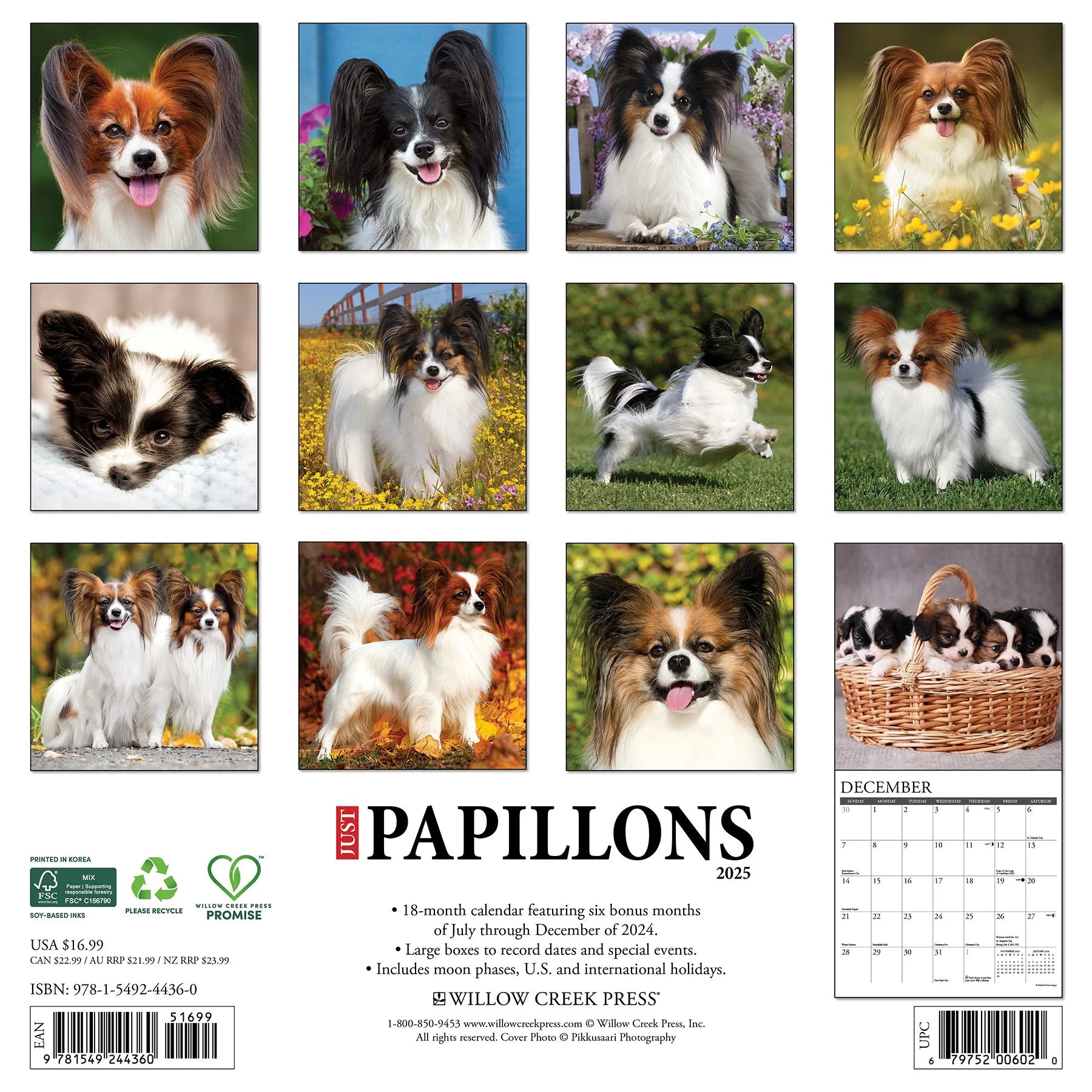 2025 Papillons Calendar