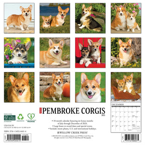 2025 Pembroke Corgis Calendar