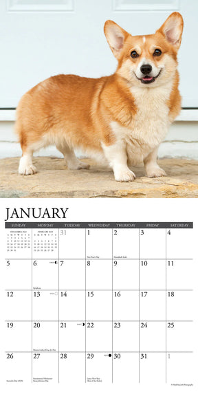 2025 Pembroke Corgis Calendar