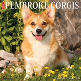 2025 Pembroke Corgis Calendar