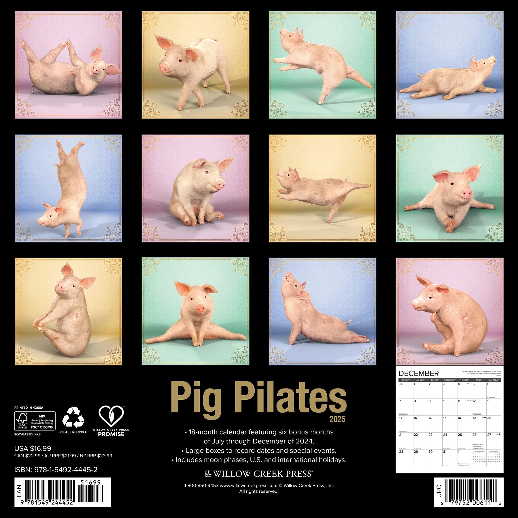 2025 Pig Pilates Calendar