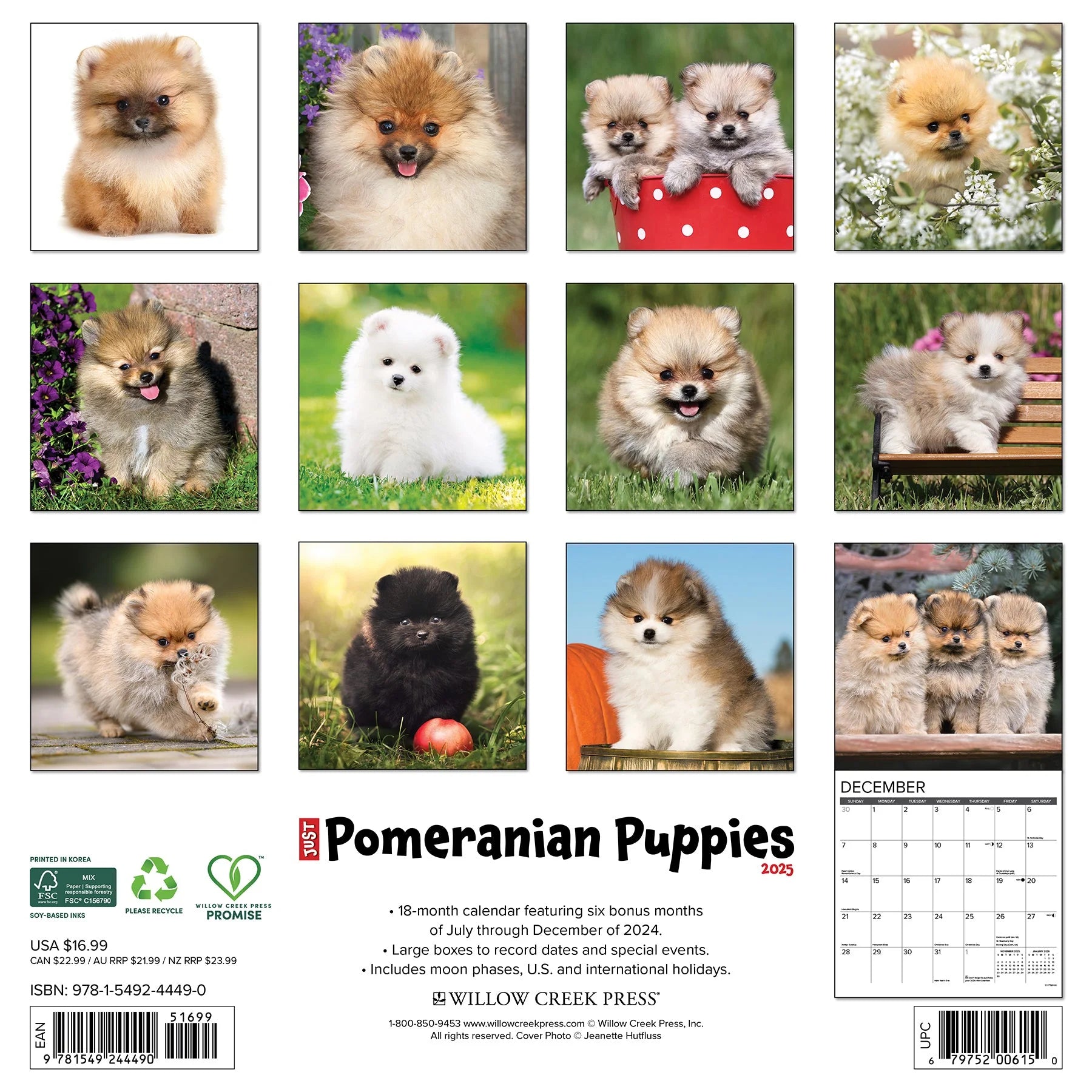 2025 Pomeranian Puppies Calendar