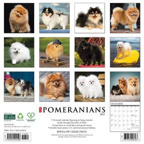 2025 Pomeranians Calendar