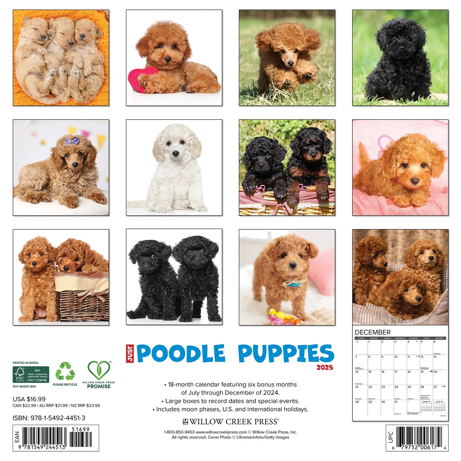 2025 Poodle Puppies Calendar