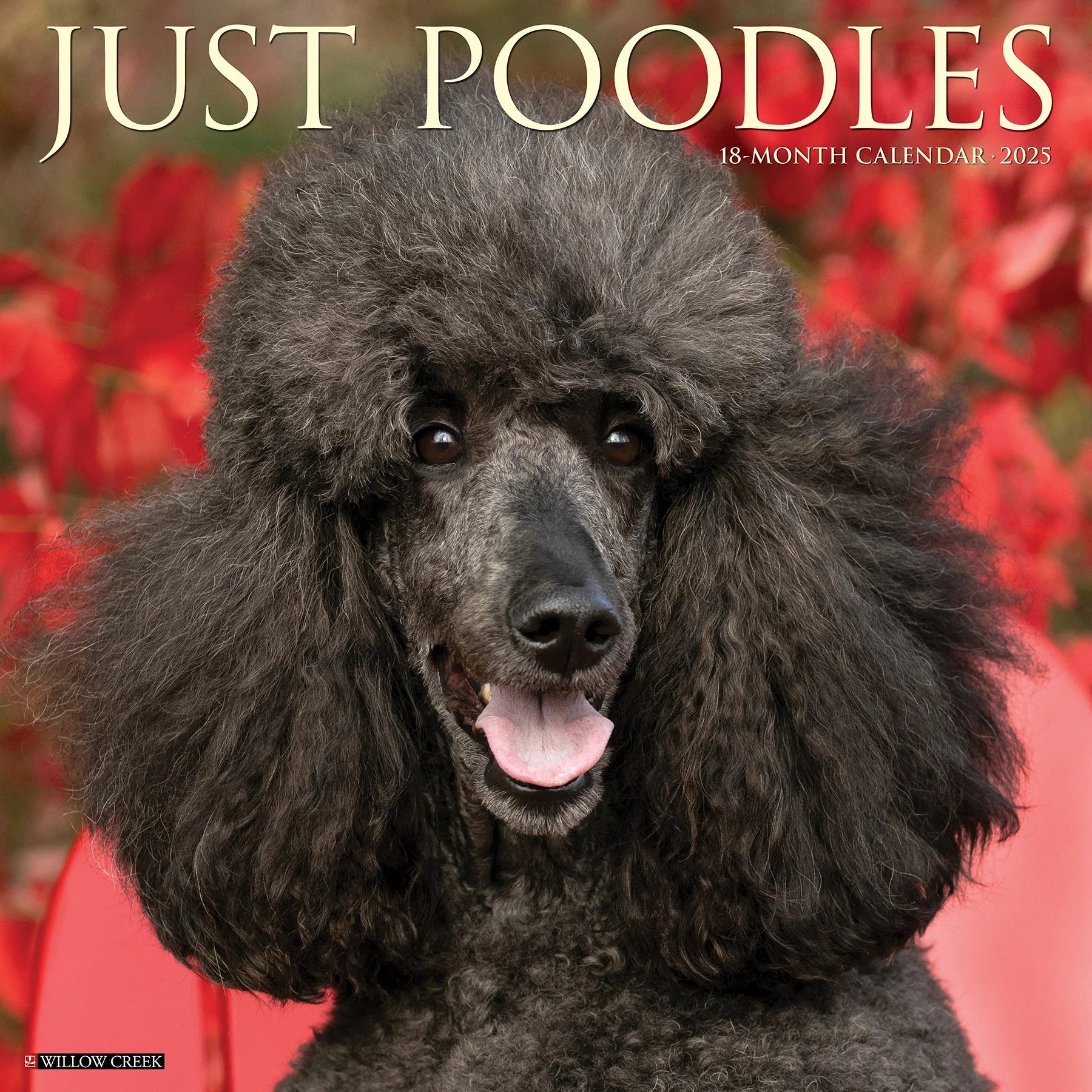 2025 Poodles Calendar