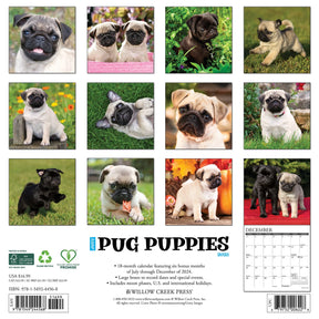 2025 Pug Puppies Calendar