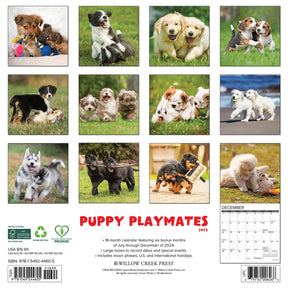 2025 Puppy Playmates Calendar