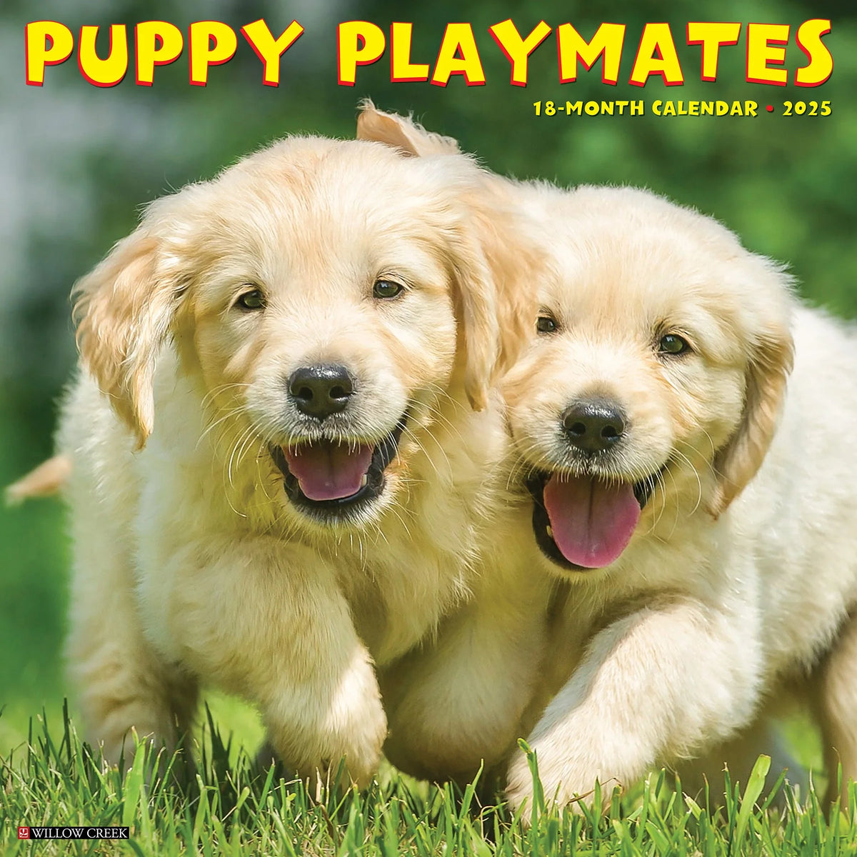 2025 Puppy Playmates Calendar