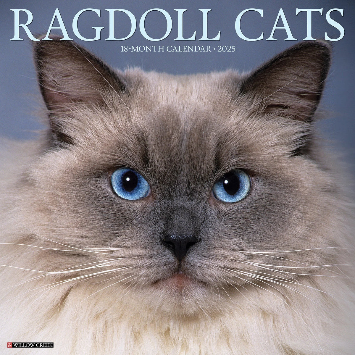 2025 Ragdoll Cats Calendar