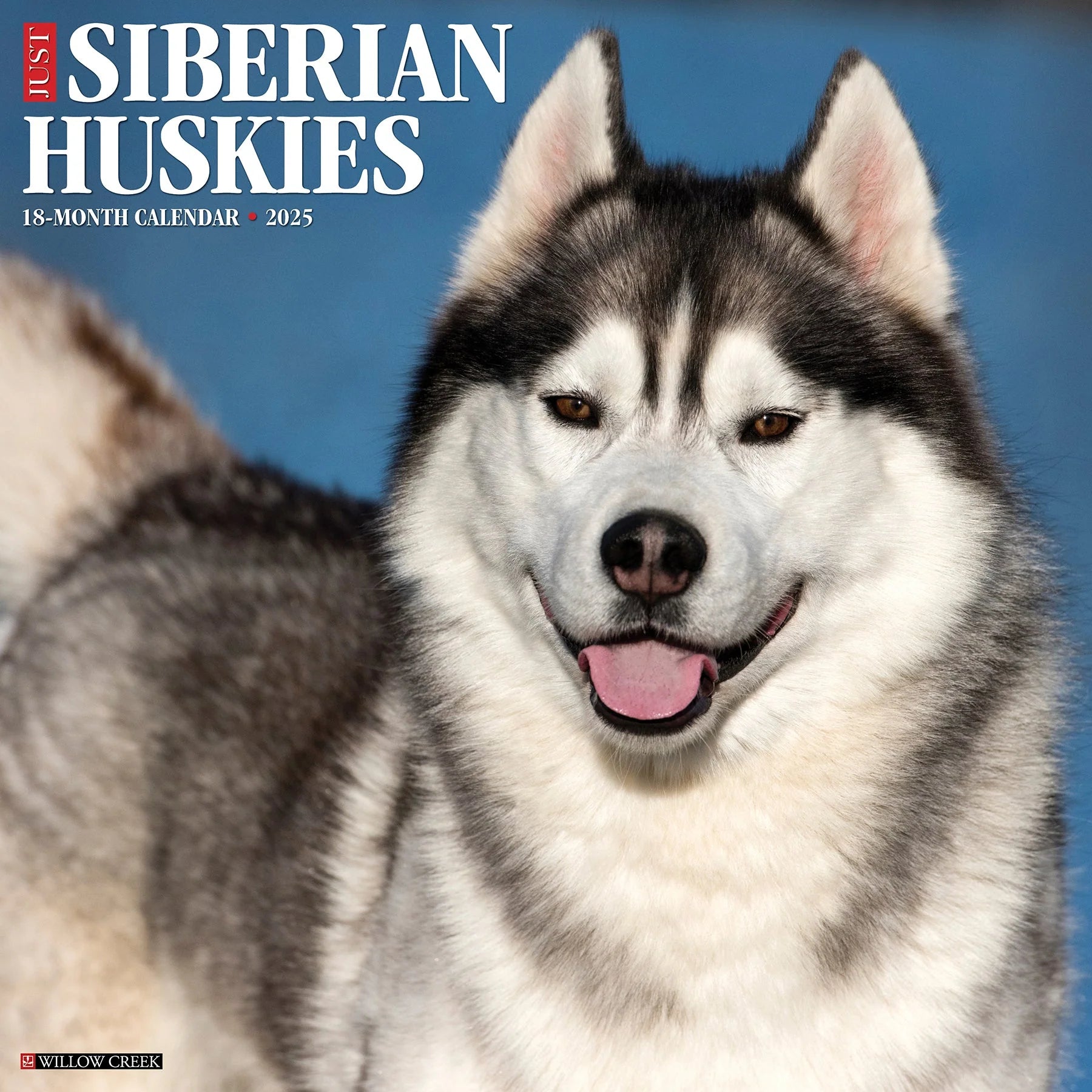 2025 Siberian Huskies Calendar