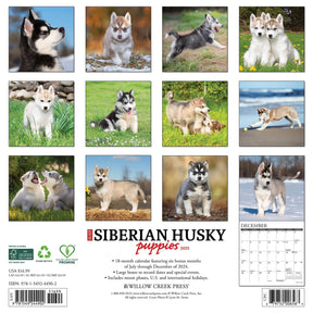 2025 Siberian Husky Puppies Calendar