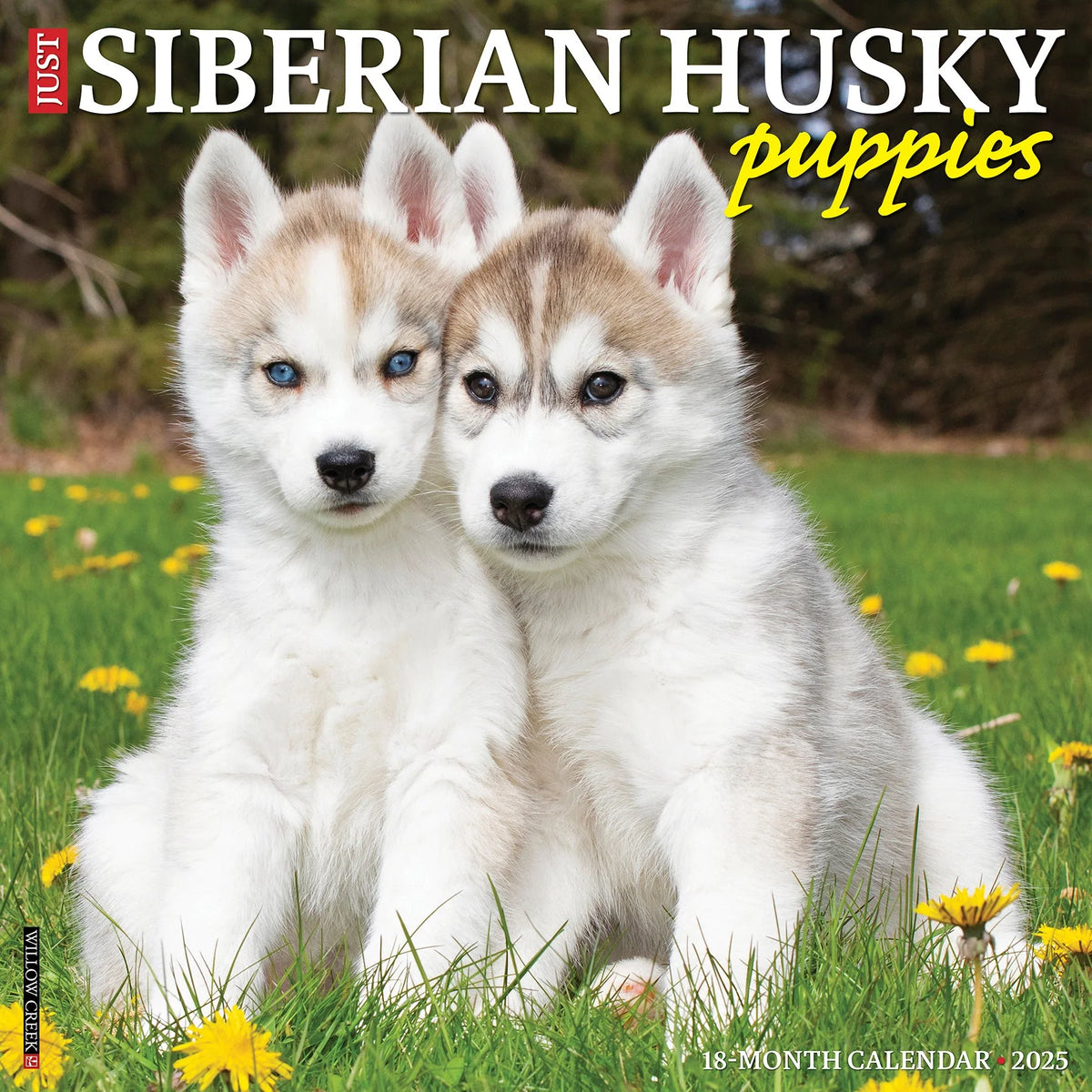 2025 Siberian Husky Puppies Calendar