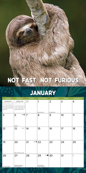 2025 Sloth Mode Calendar