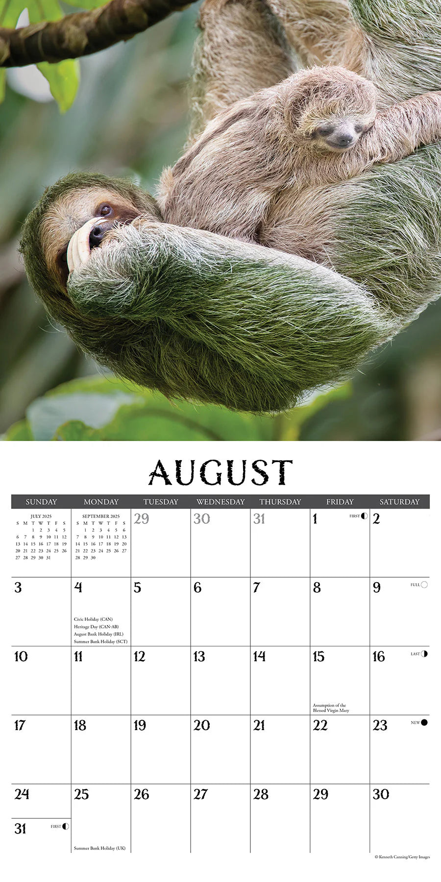 2025 Sloths Calendar