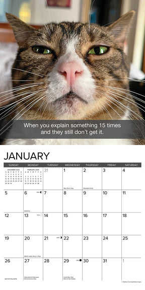 2025 Snapcats Calendar