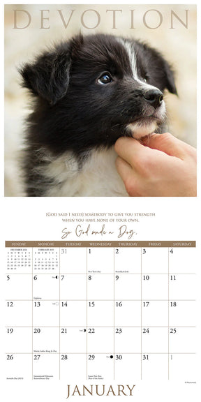 2025 So God Made A Dog Calendar