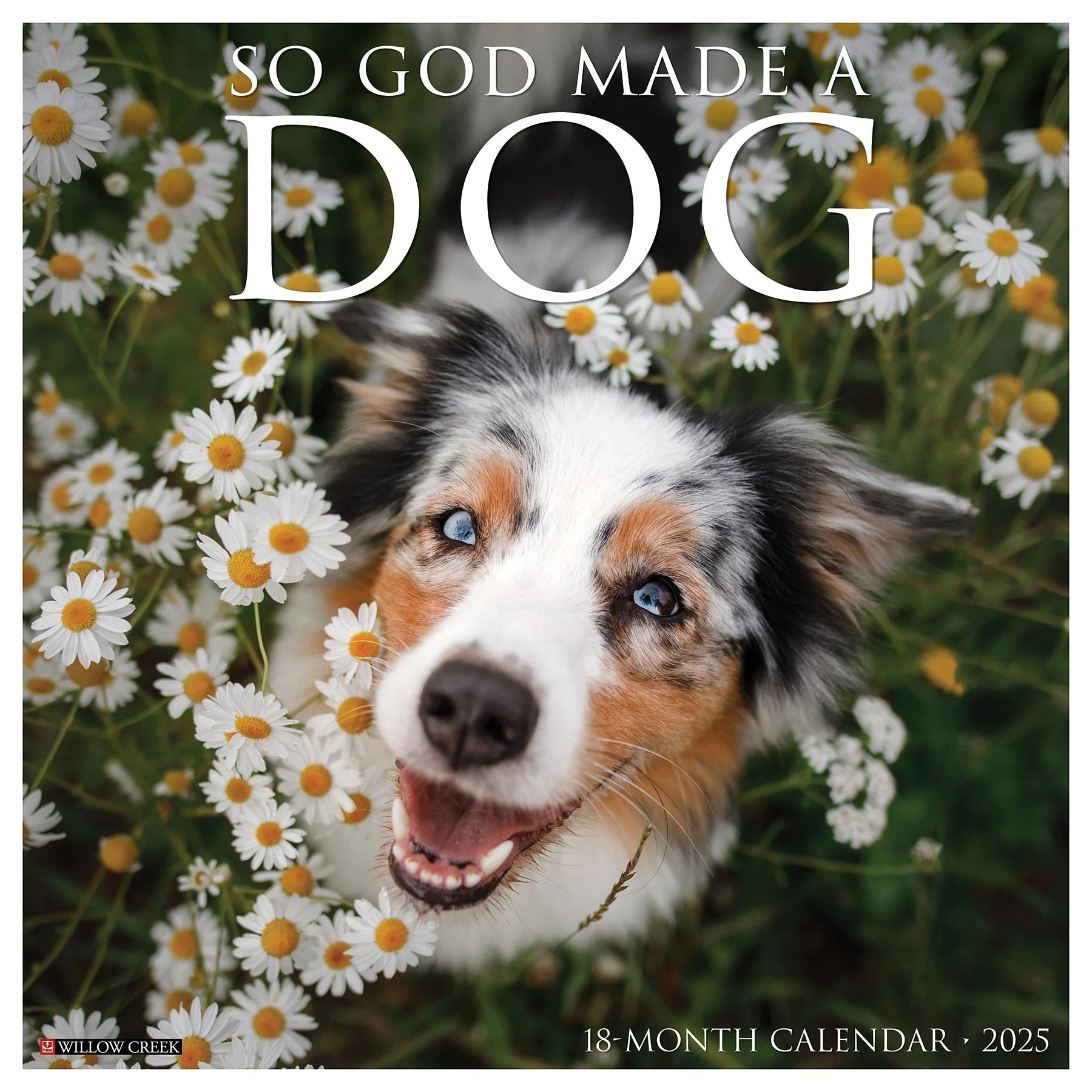 2025 So God Made A Dog Calendar