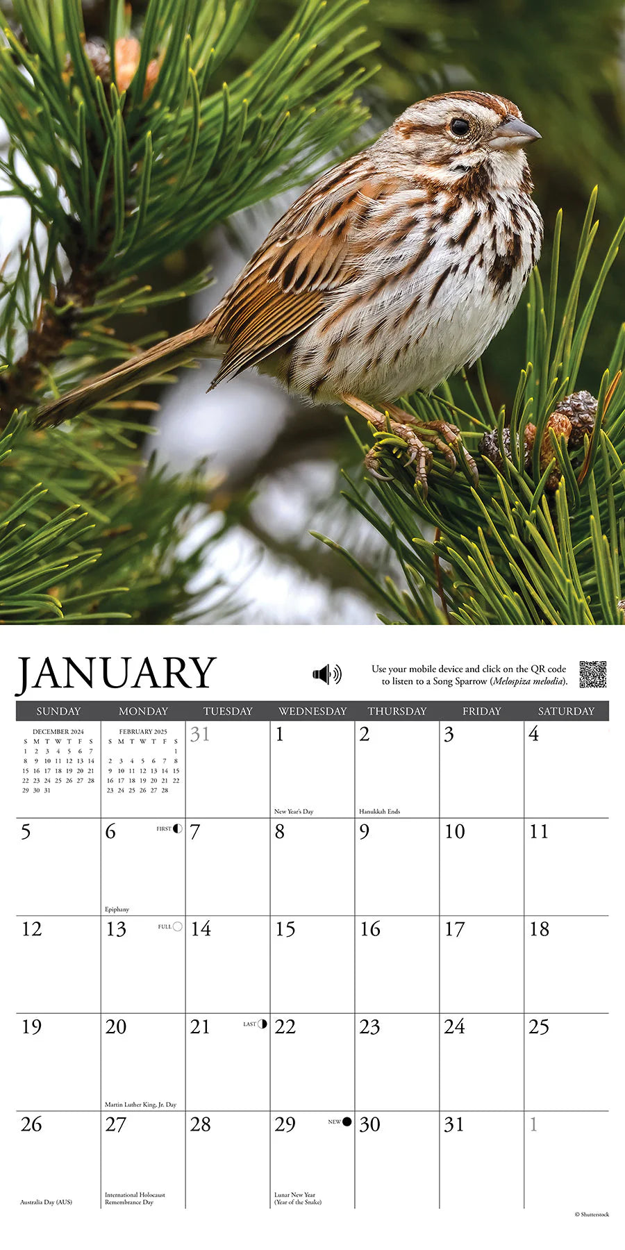 2025 Songbirds Calendar