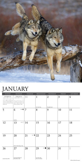 2025 Spirit Of The Wolf Calendar