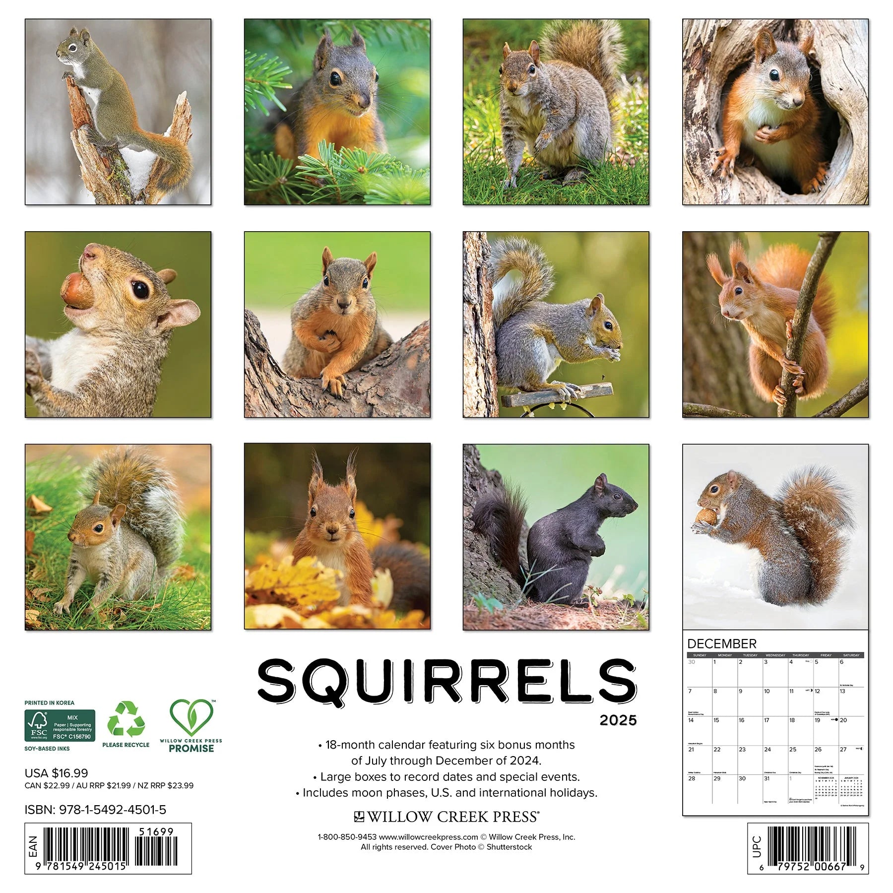 2025 Squirrels Calendar