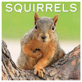 2025 Squirrels Calendar