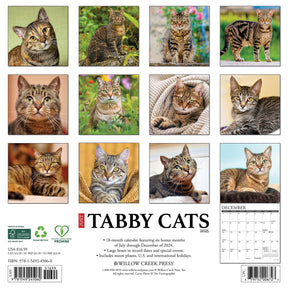 2025 Tabby Cats Calendar