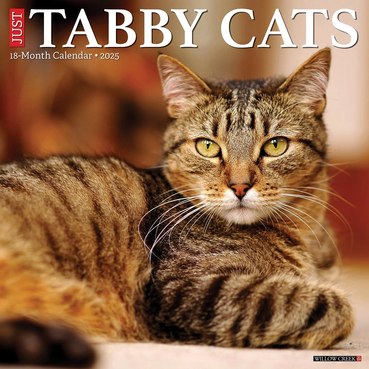 2025 Tabby Cats Calendar