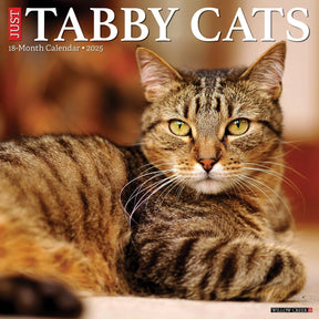 2025 Tabby Cats Calendar