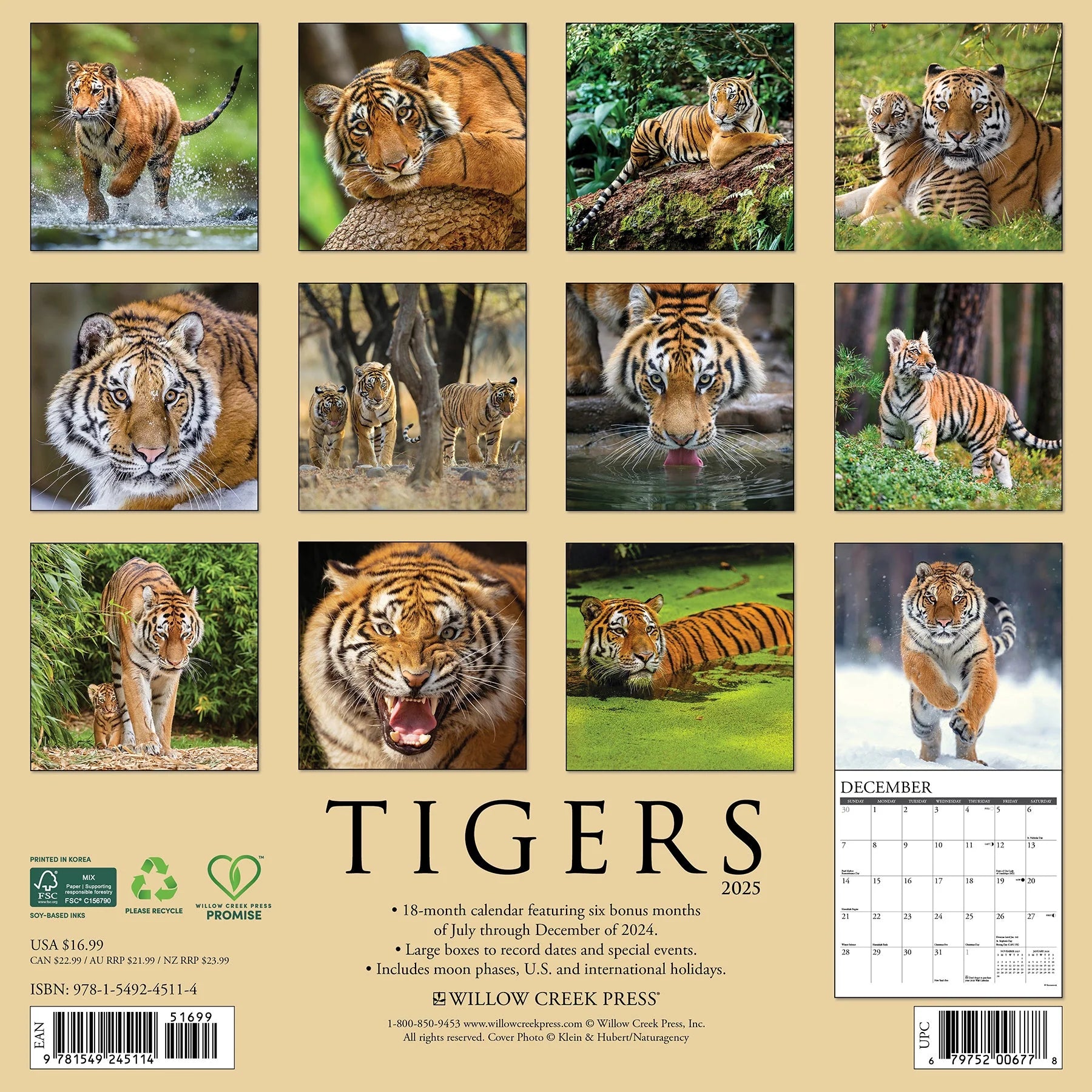 2025 Tigers Calendar