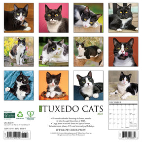 2025 Tuxedo Cats Calendar