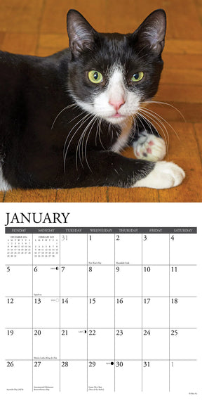 2025 Tuxedo Cats Calendar