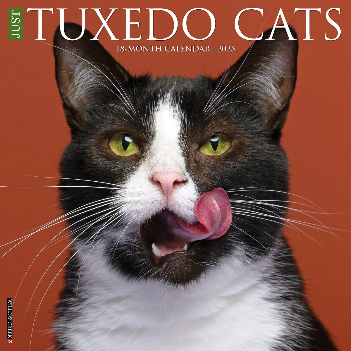 2025 Tuxedo Cats Calendar