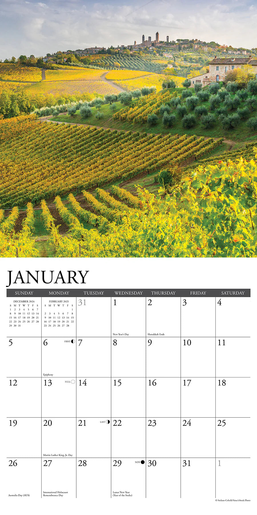 2025 Vineyards Calendar